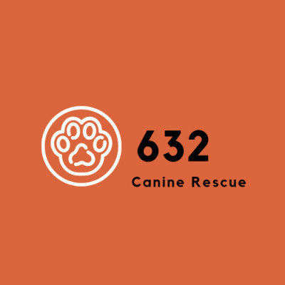 632 Canine Rescue - Animal Shelter and Rescue in Houston, Texas