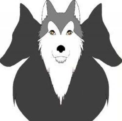 Malamute Rescue And Rehabilitation Of Northern California - Animal Shelter and Rescue in Marysville, California