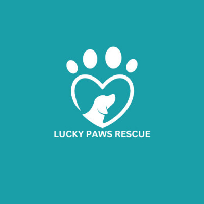 Loyal Paws Rescue - Animal Shelter and Rescue in Richmond, British Columbia