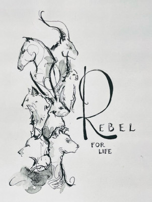 Rebel For Life - Animal Shelter and Rescue in Houston, Texas