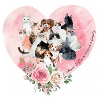 Hearts To Homes Humane Society - Pet Shelter and Rescue in Nashville, Georgia