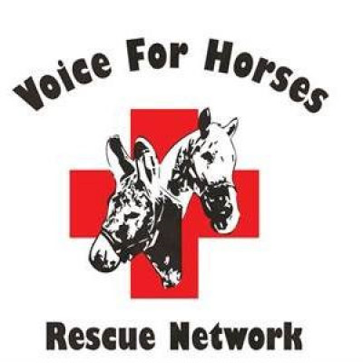Voice For Horses Rescue Network - Pet Shelter and Rescue in Toledo, Ohio