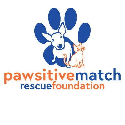 Pawsitive Match Rescue Foundation - Animal Shelter and Rescue in Calgary, Alberta
