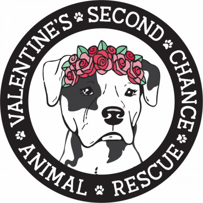 Valentine’s Second Chance Animal Rescue - Animal Shelter and Rescue in Raytown, Missouri