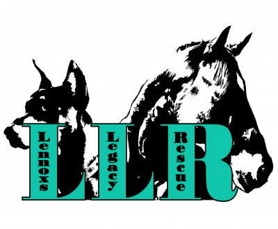 Lennoxs Legacy Rescue. Inc - Pet Shelter and Rescue in Decatur, Indiana