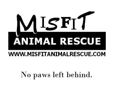 Misfit Animal Rescue Inc. - Pet Shelter and Rescue in Groveland, Florida