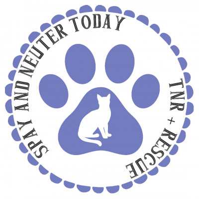 Spay And Neuter Today - Animal Shelter and Rescue in Nags Head, North Carolina