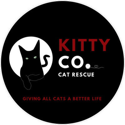 Kitty Co. Cat Rescue - Animal Shelter and Rescue in Bridgeville, Pennsylvania