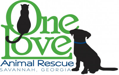 One Love Animal Rescue, Inc - Pet Shelter and Rescue in Wilmington Island, Georgia