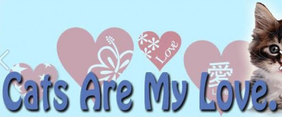 Cats Are My Love - Pet Shelter and Rescue in Kissimmee, Florida