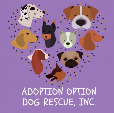 Adoption Option Dog Rescue, Inc. - Animal Shelter and Rescue in Reisterstown, Maryland