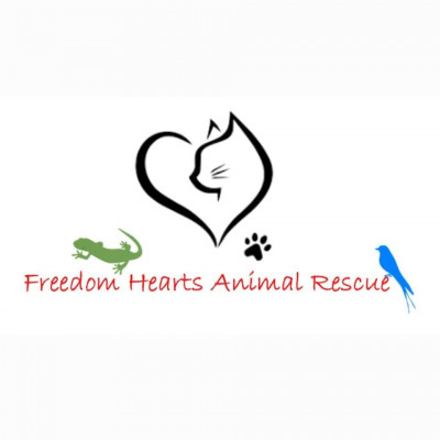 Freedom Hearts Animal Rescue - Animal Shelter and Rescue in Gerrardstown, West Virginia