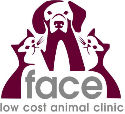 FACE Low-Cost Animal Clinic - Pet Shelter and Rescue in Indianapolis, Indiana