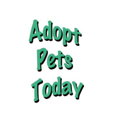 Adopt Pets Today - Animal Shelter and Rescue in Riverside, California