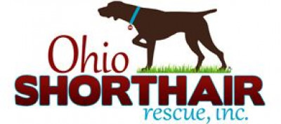 Ohio Shorthair Rescue, Inc. - Pet Shelter and Rescue in Canfield, Ohio