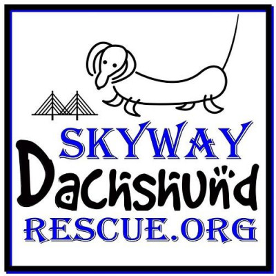 Skyway Dachshund Rescue, Inc. - Animal Shelter and Rescue in Pinellas Park, Florida