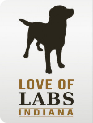 Love Of Labs - Pet Shelter and Rescue in Indianapolis, Indiana