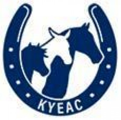 Kentucky Equine Adoption Center Inc. - Pet Shelter and Rescue in Nicholasville, Kentucky