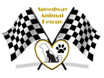 Speedway Animal Rescue - Pet Shelter and Rescue in Indianapolis, Indiana