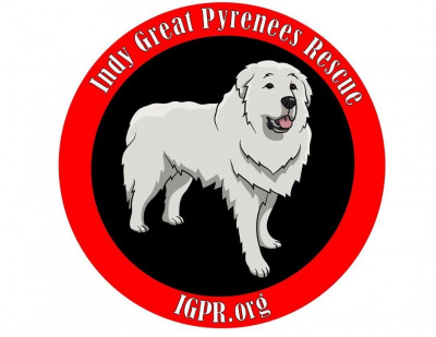 Indy Great Pyrenees Rescue - Pet Shelter and Rescue in Indianapolis, Indiana