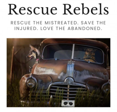 Rescue Rebels By Cash 4 Canines Inc - Animal Shelter and Rescue in Delray Beach, Florida
