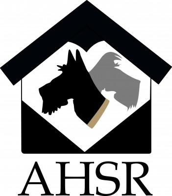 Almost Home Schnauzer And Small Dog Rescue - IN - Pet Shelter and Rescue in Noblesville, Indiana