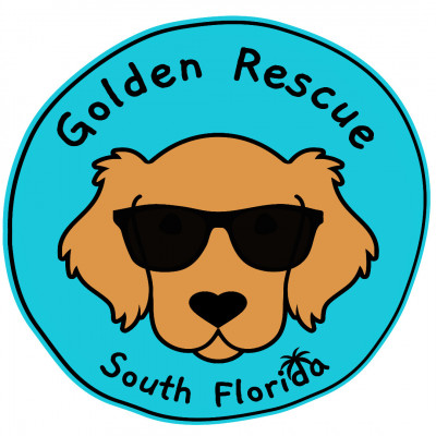 Golden Rescue South Florida, Inc. - Animal Shelter and Rescue in Plantation, Florida