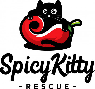 Spicy Kitty Animal Rescue - Animal Shelter and Rescue