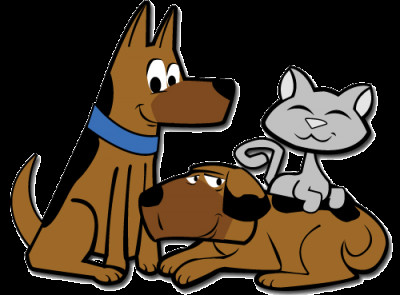 Misty Eyes Animal Rescue & Learning Center - Pet Shelter and Rescue in Avon, Indiana