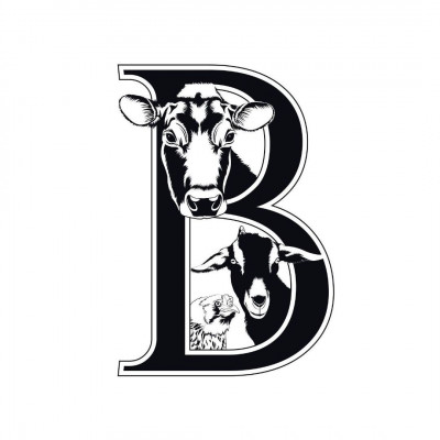 Ballydídean Farm Sanctuary - Animal Shelter and Rescue in Clinton, Washington