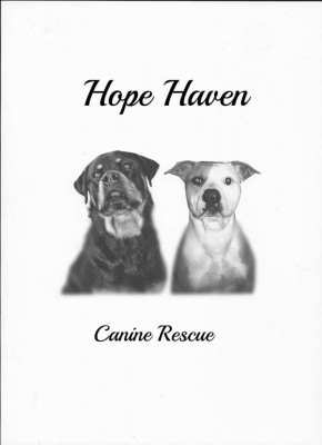 Hope Haven Canine Rescue Inc - Pet Shelter and Rescue in Cloverdale, Indiana