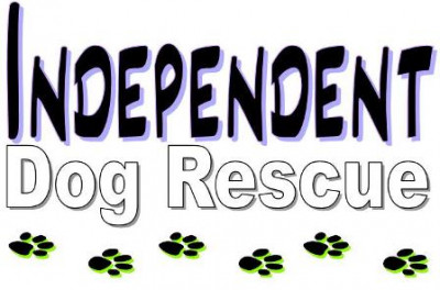 Independent Dog Rescue - Animal Shelter and Rescue in Pine Mountain Club, California
