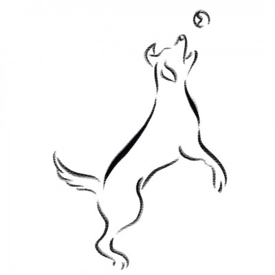 Good Catch Dog Rescue - Animal Shelter and Rescue in Marion, Texas