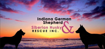 Indiana GSD & Siberian Husky Rescue, Inc - Pet Shelter and Rescue in Quincy, Indiana
