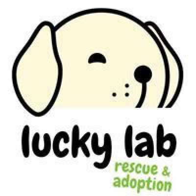 Lucky Lab Rescue And Adoption - Pet Shelter and Rescue in Lewisville, Indiana