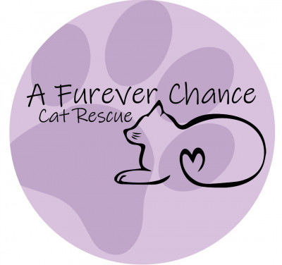 A Furever Chance Inc, - Animal Shelter and Rescue in Snyder, New York
