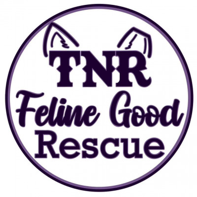 TNR Feline Good Rescue - Animal Shelter and Rescue in Big Lake, Minnesota