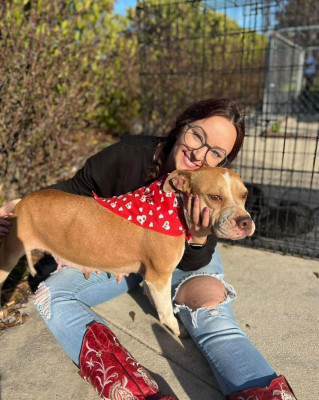 Ruby And Laurel Animal Rescue Inc. - Animal Shelter and Rescue in Clinton, North Carolina