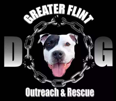 Greater Flint Dog Outreach & Rescue - Animal Shelter and Rescue in Flint, Michigan