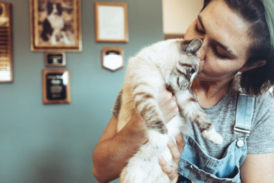 Moab City Animal Shelter - Animal Shelter and Rescue in Moab, Utah