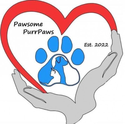 Pawsome Purrpaws - Animal Shelter and Rescue in McKinney, Texas