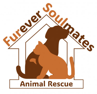 Furever Soulmates Animal Rescue - Animal Shelter and Rescue in Toronto, Ontario