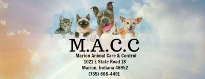 Marion Animal Care And Control - Pet Shelter and Rescue in Marion, Indiana