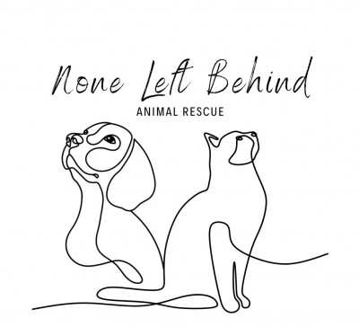 None Left Behind Cat Rescue - Animal Shelter and Rescue in Bethel, Ohio