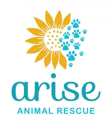 Arise Animal Rescue - Animal Shelter and Rescue in Hubert, North Carolina