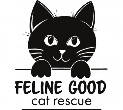 Feline Good Inc. - Animal Shelter and Rescue in Breinigsville, Pennsylvania