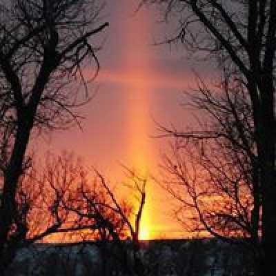 Red Sky Rescue - Pet Shelter and Rescue in Seymour, Indiana