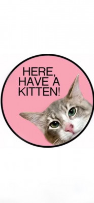 Here Have A Kitten, Inc. - Animal Shelter and Rescue in Los Angeles, California