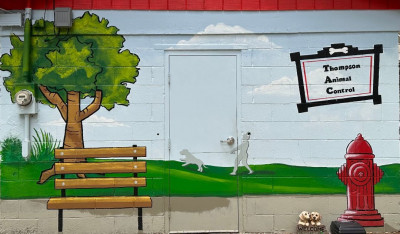 Thompson Animal Control - Animal Shelter and Rescue in Thompson, Connecticut