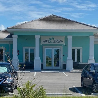 Cape Coral Animal Shelter - Animal Shelter and Rescue in Cape Coral, Florida